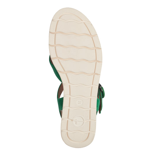 Sandalo Verde