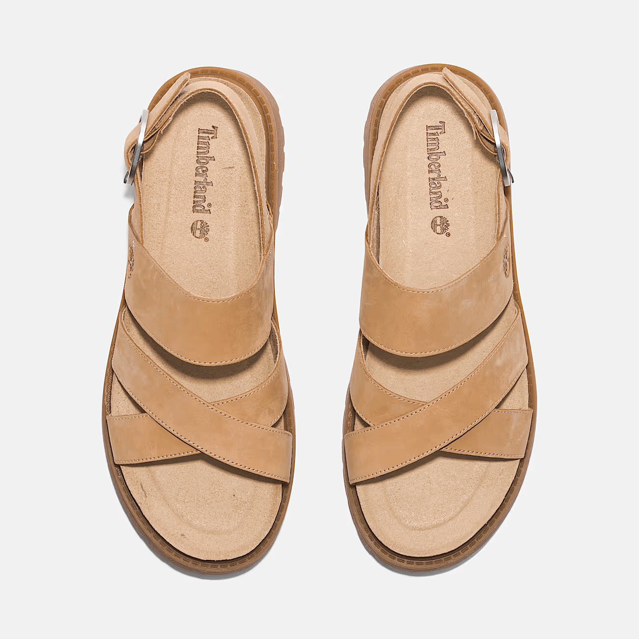 Timberland Sandalo con Cinturino Posteriore Clairemont Way da Donna in beige