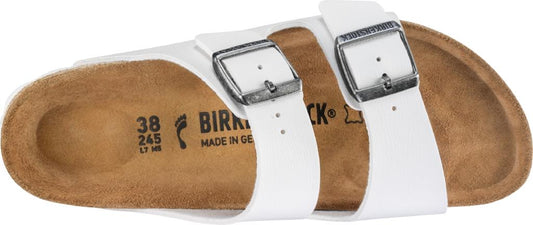 Arizona bianco Birko Flor pianta normale